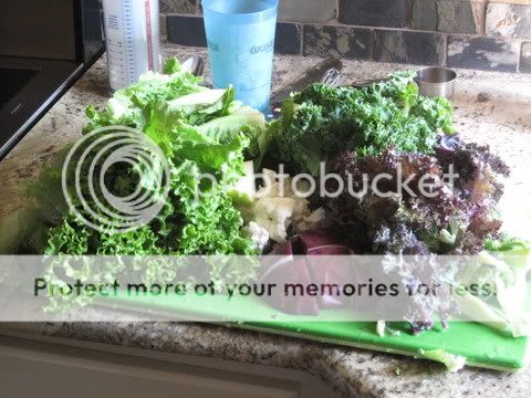 Green Juice Materials
