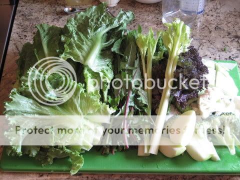 Green Juice Materials