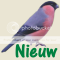 Nieuwe berichten