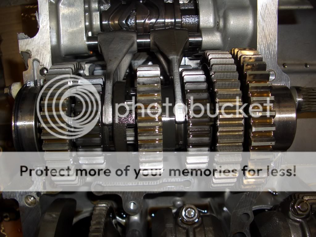 Posted Image