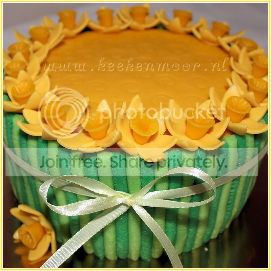 http://i628.photobucket.com/albums/uu5/Abeers/Mijn%20taarten/Lentetaart.jpg