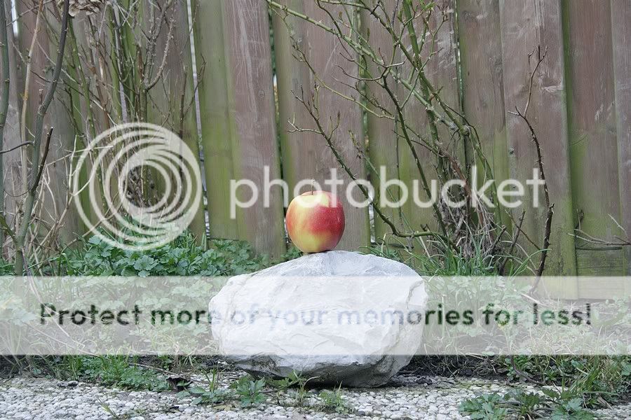 Fotografie