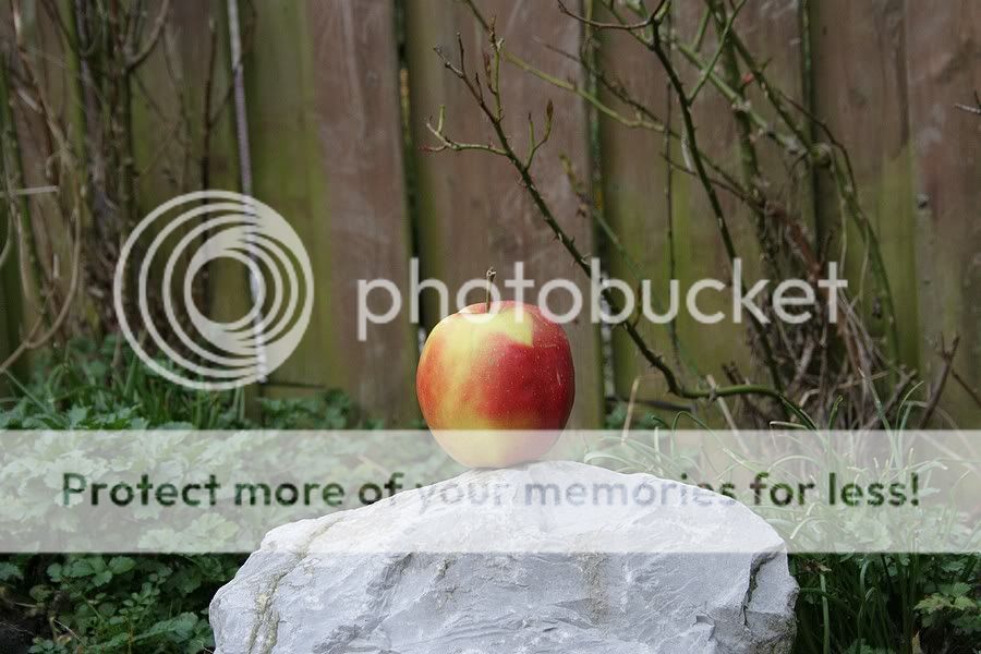 Fotografie