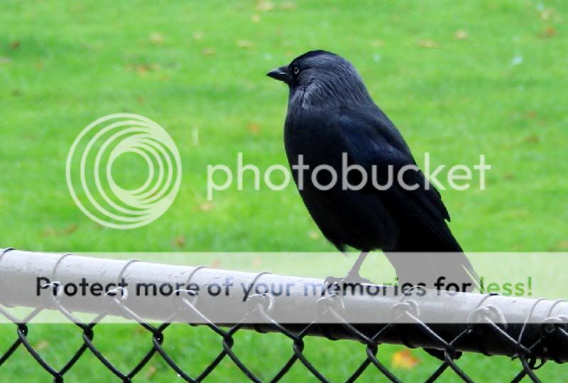 Fotografie