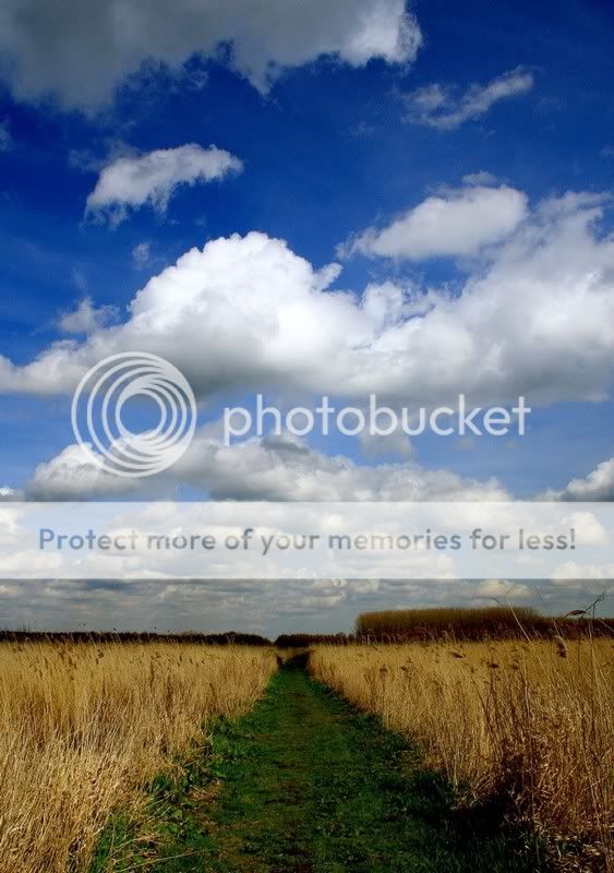 Fotografie