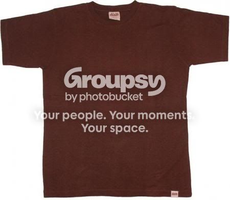  photo ew_tshirt_plain_brown.jpg