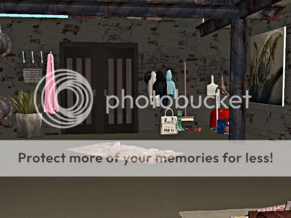 snapshot_00000004_17306416.jpg