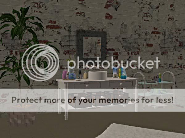 snapshot_00000004_573063ee.jpg