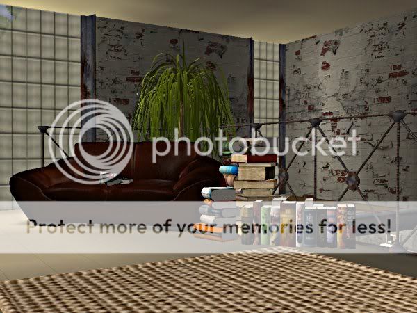 snapshot_00000004_d730637c.jpg