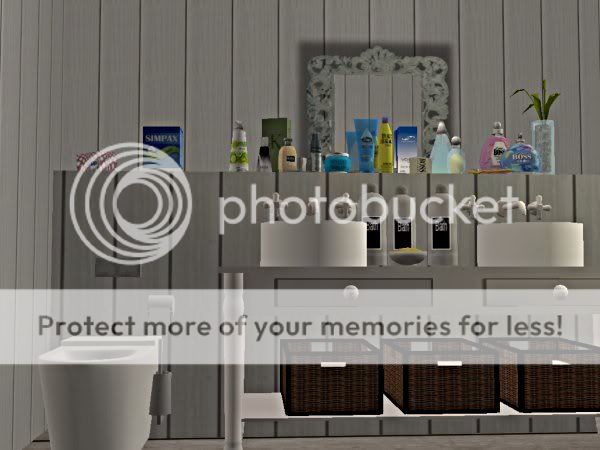 snapshot_00000004_f72ede6b.jpg