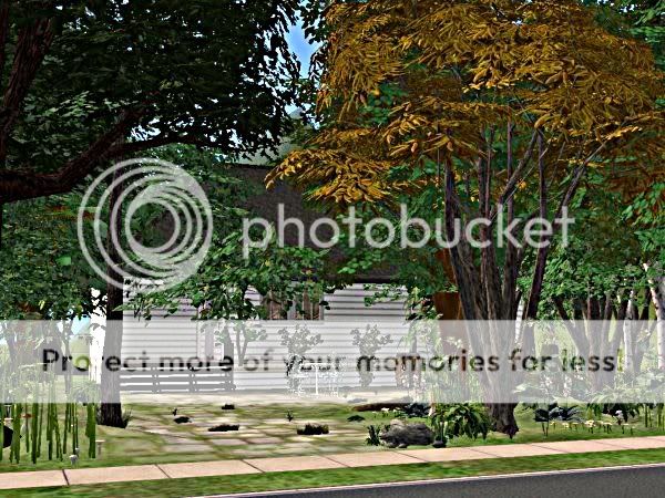 snapshot_00000004_36f7bdc6.jpg