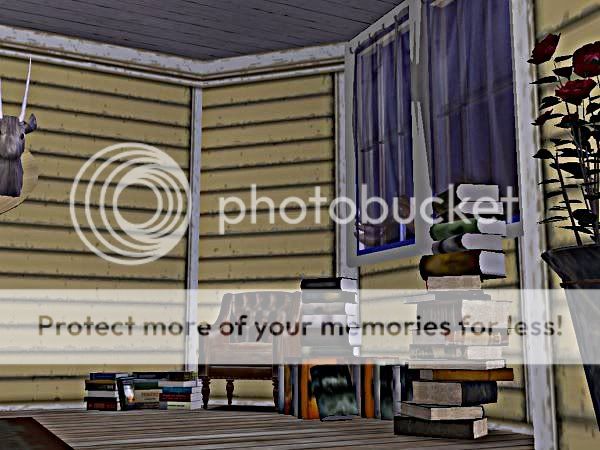 snapshot_00000004_f6f77c36.jpg