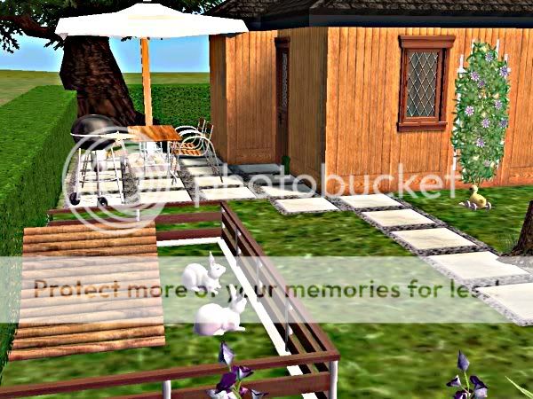 snapshot_00000004_37073d91.jpg