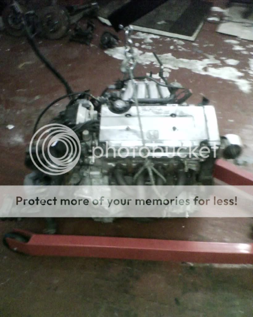 IMG0019A.jpg