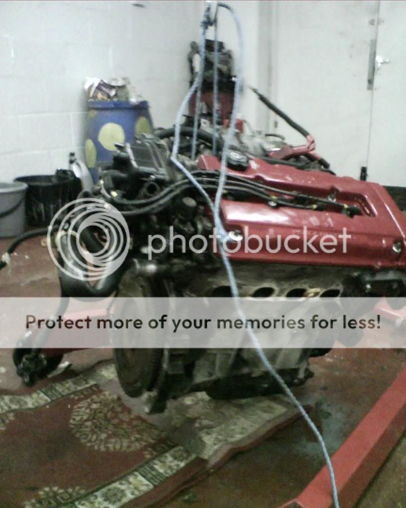 IMG0026A.jpg