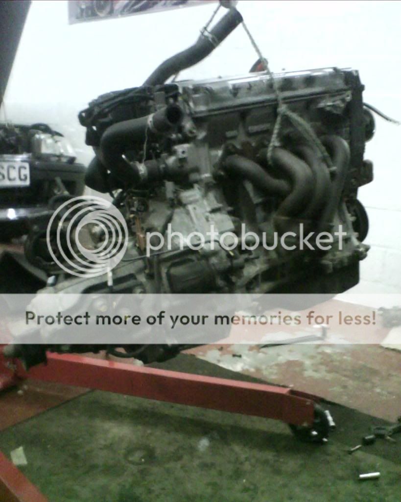 IMG0029A.jpg