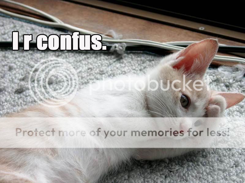 CatConfus.jpg