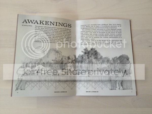  photo Moonrise kingdom - 10_zpsozoawvlu.jpg